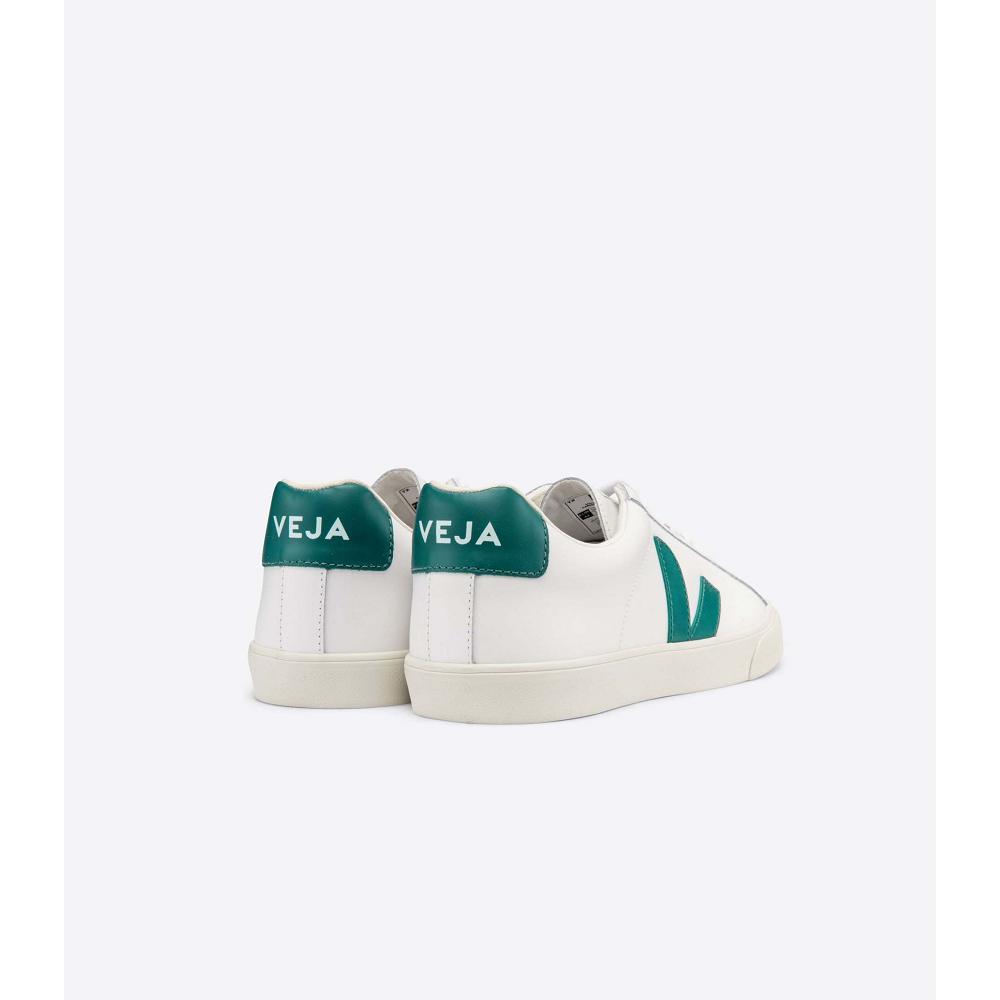 Men's Veja ESPLAR LEATHER Sneakers White/Green | SG 305ZUT